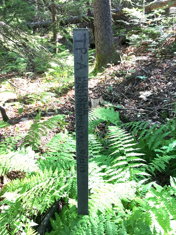 0 Watson Spruce Corner Road Ashfield, MA 01330 - Photo 4 of 9
