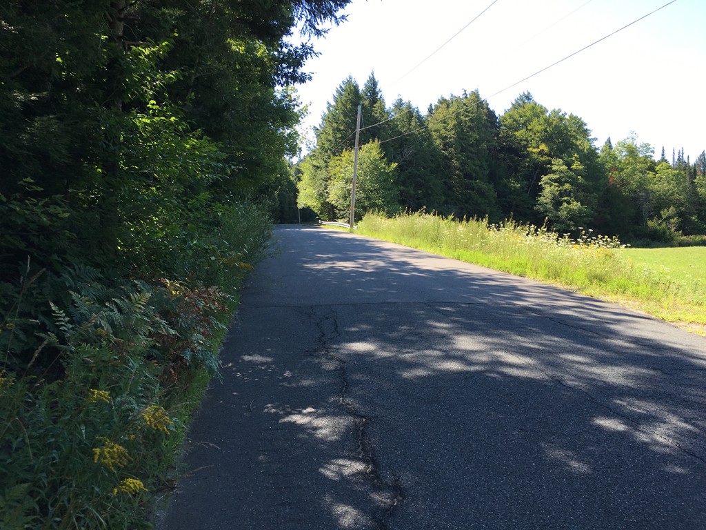 0 Watson Spruce Corner Road Ashfield, MA 01330 - Photo 8 of 9
