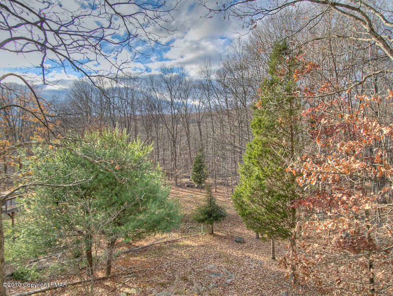 349 Minks Pond Road Bushkill, PA 18324 - Photo 12 of 13 Back View