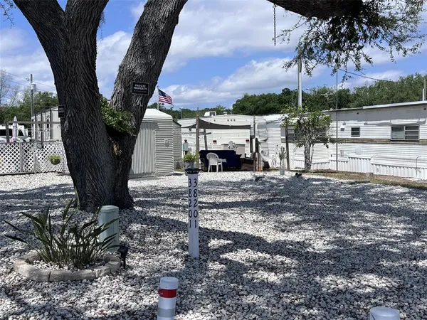 a view of a backyard with large tree