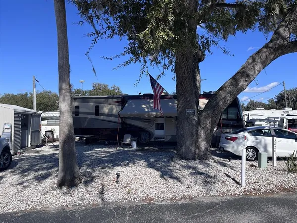 a view of a backyard with a tree