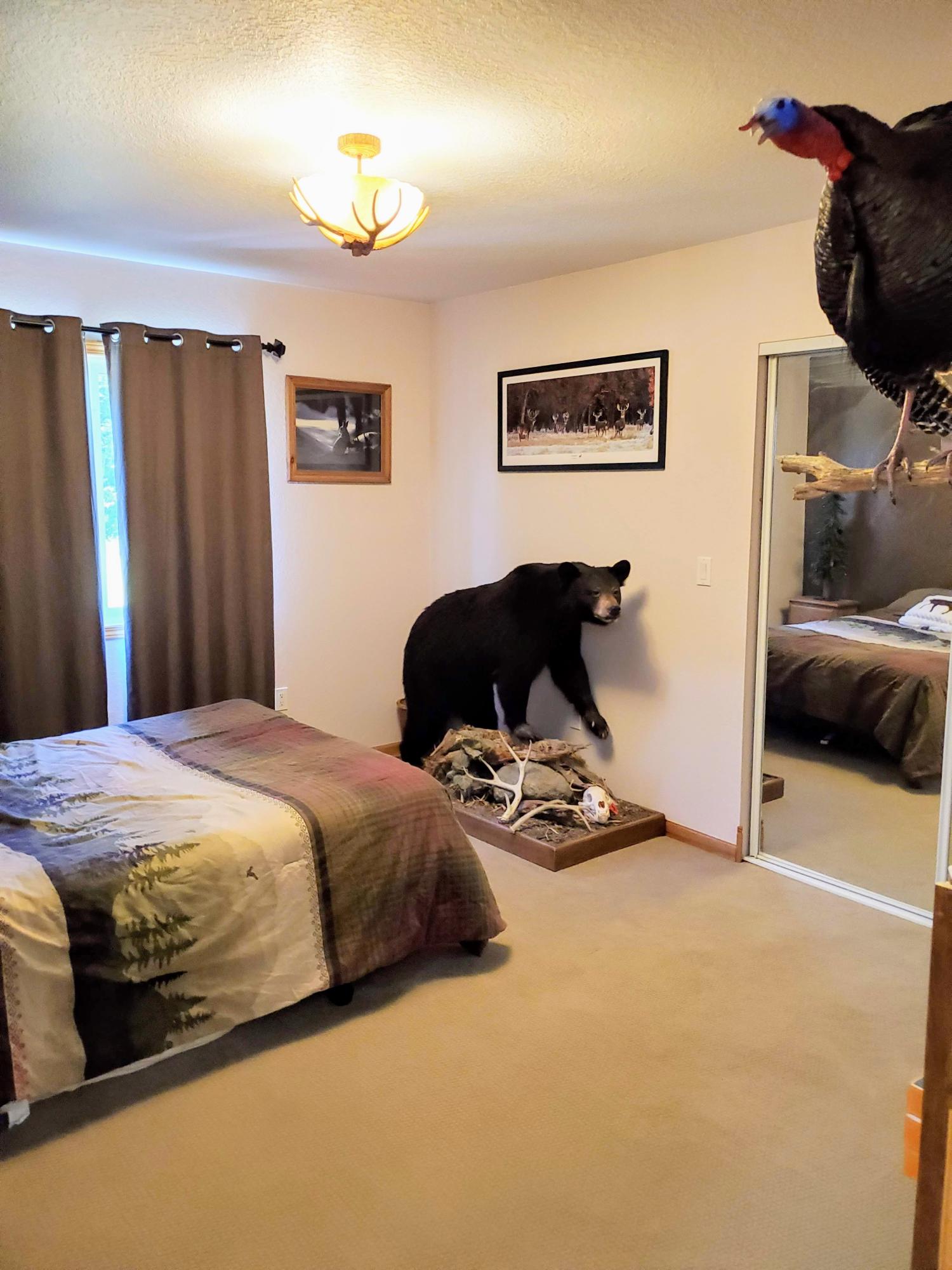 7540 Haken Road Alpena, MI 49707 - Photo 17 of 41 Gallery Image 17