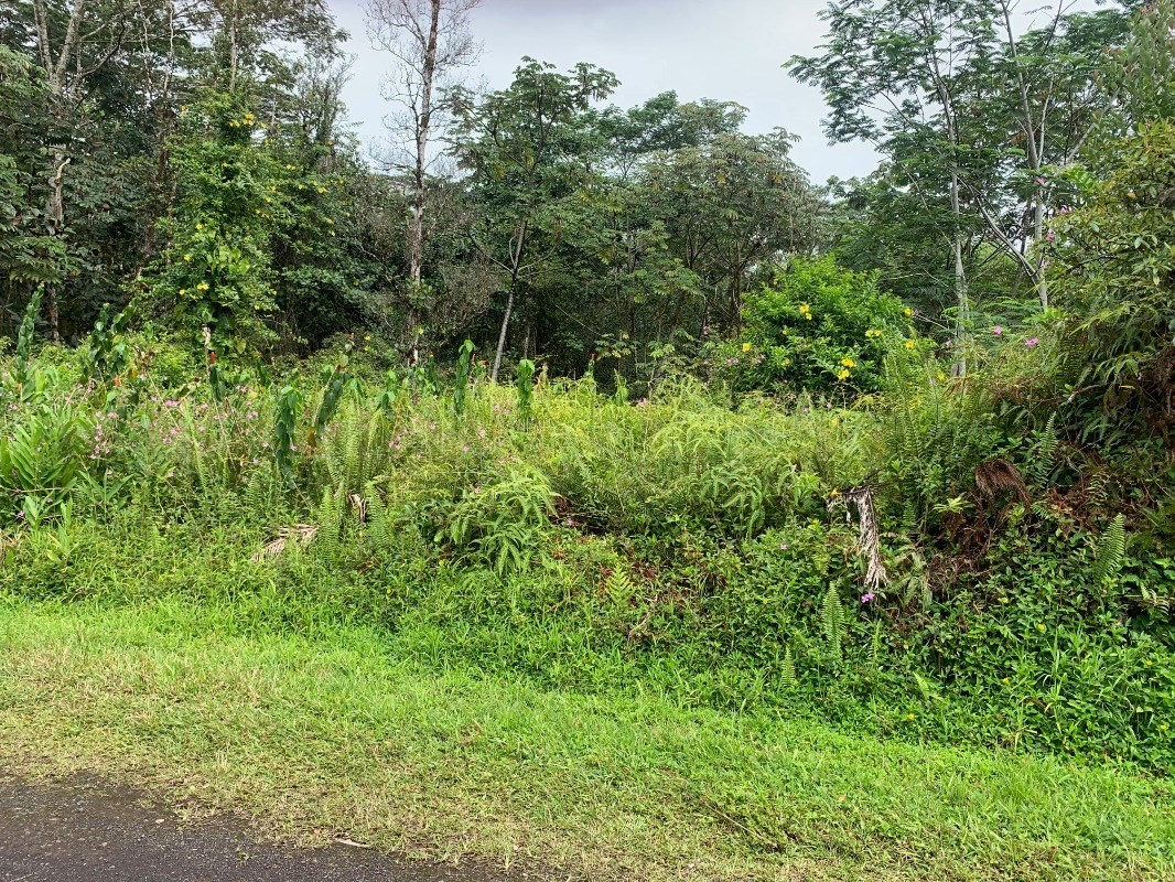 1111 Mayzee Road Pahoa, HI 96778 - Photo 1 of 1 Gallery Image 1