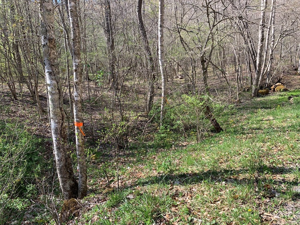 Tbd Mud Fork Road, Unit 1 Bluefield, VA 24605 - Photo 18 of 21 Gallery Image 18