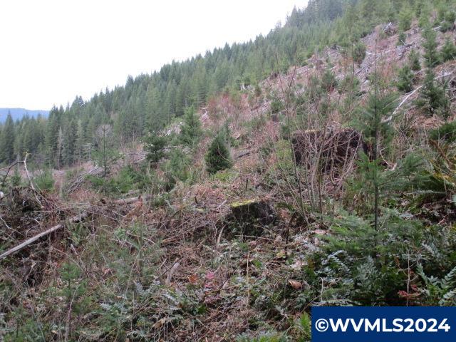 0 Quartzville Road Cascadia, OR 97329 - Photo 4 of 10