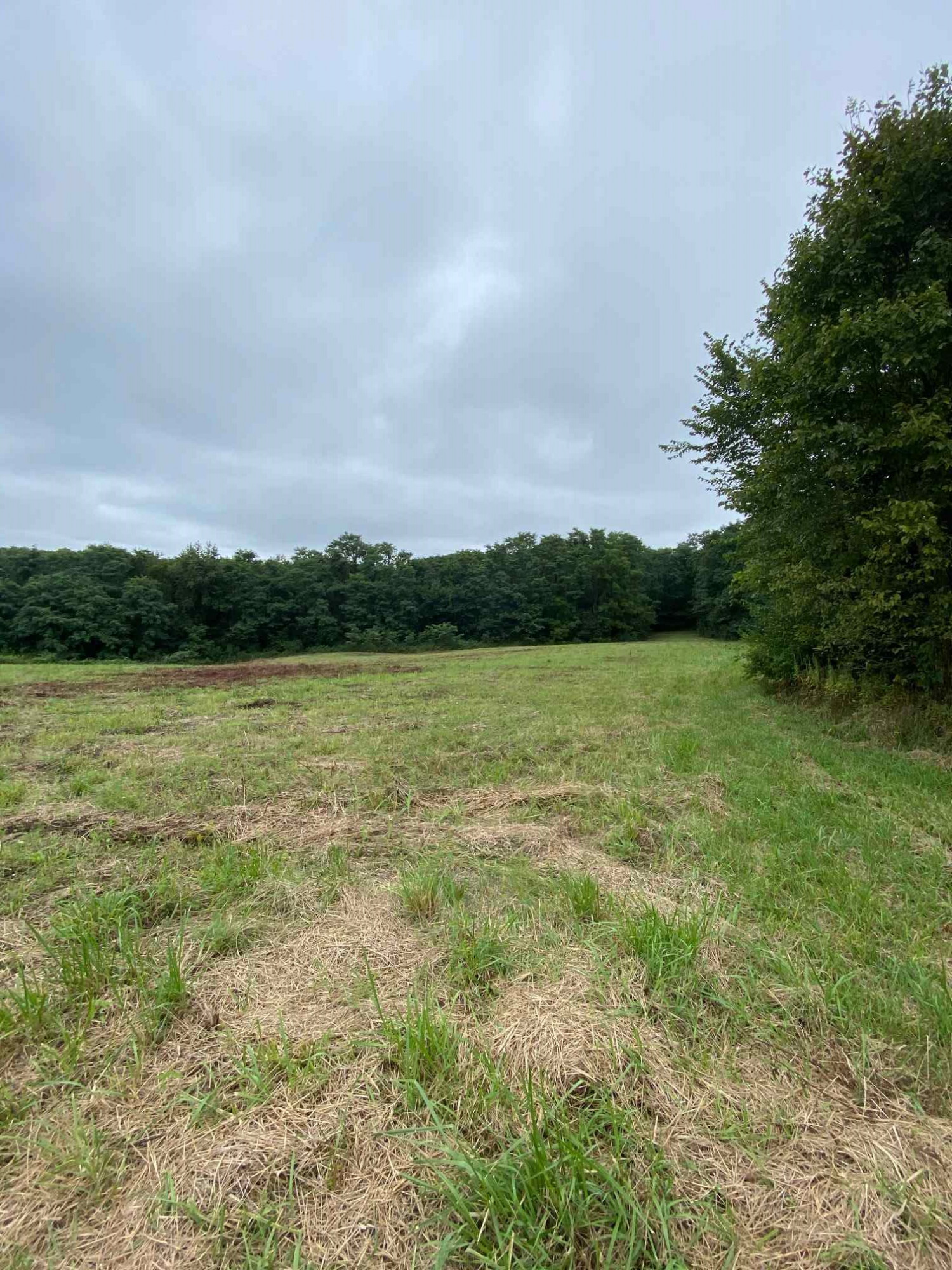 3 Baton Rouge Road Williamstown, KY 41097 - Photo 7 of 25