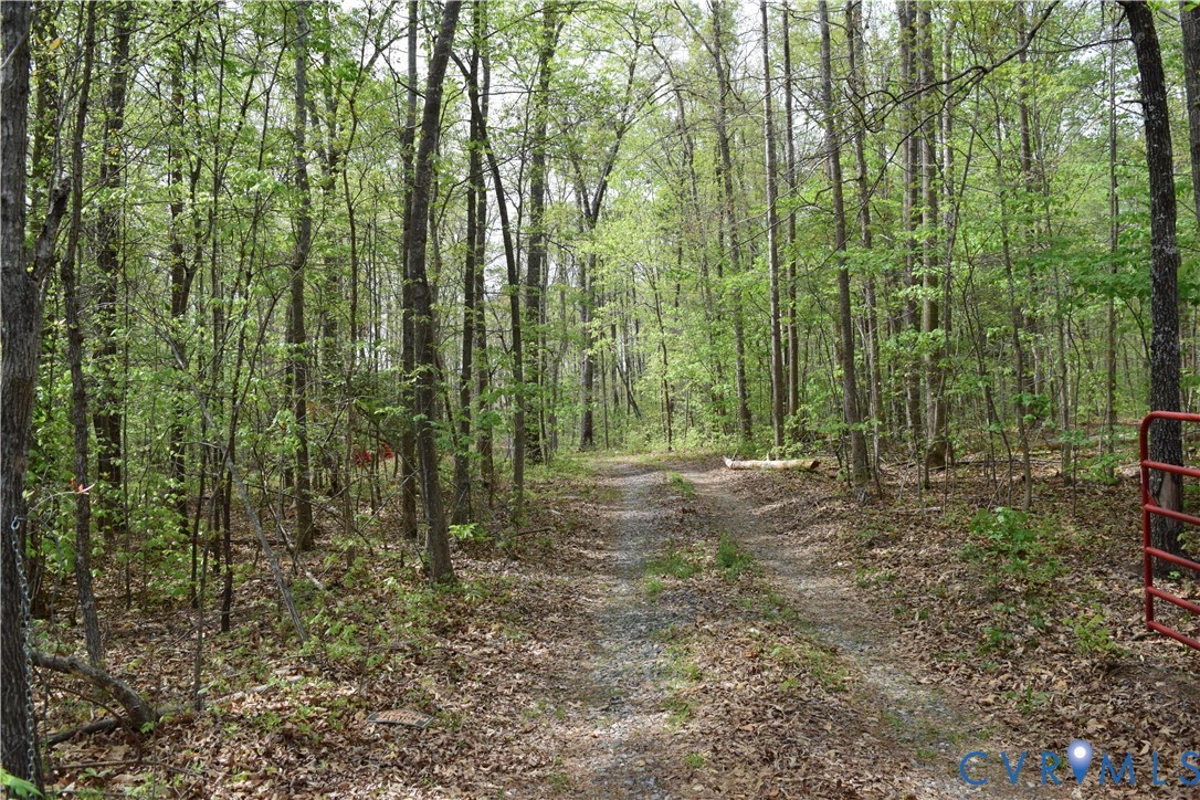 0 Hensley Road Mineral, VA 23117 - Photo 8 of 9