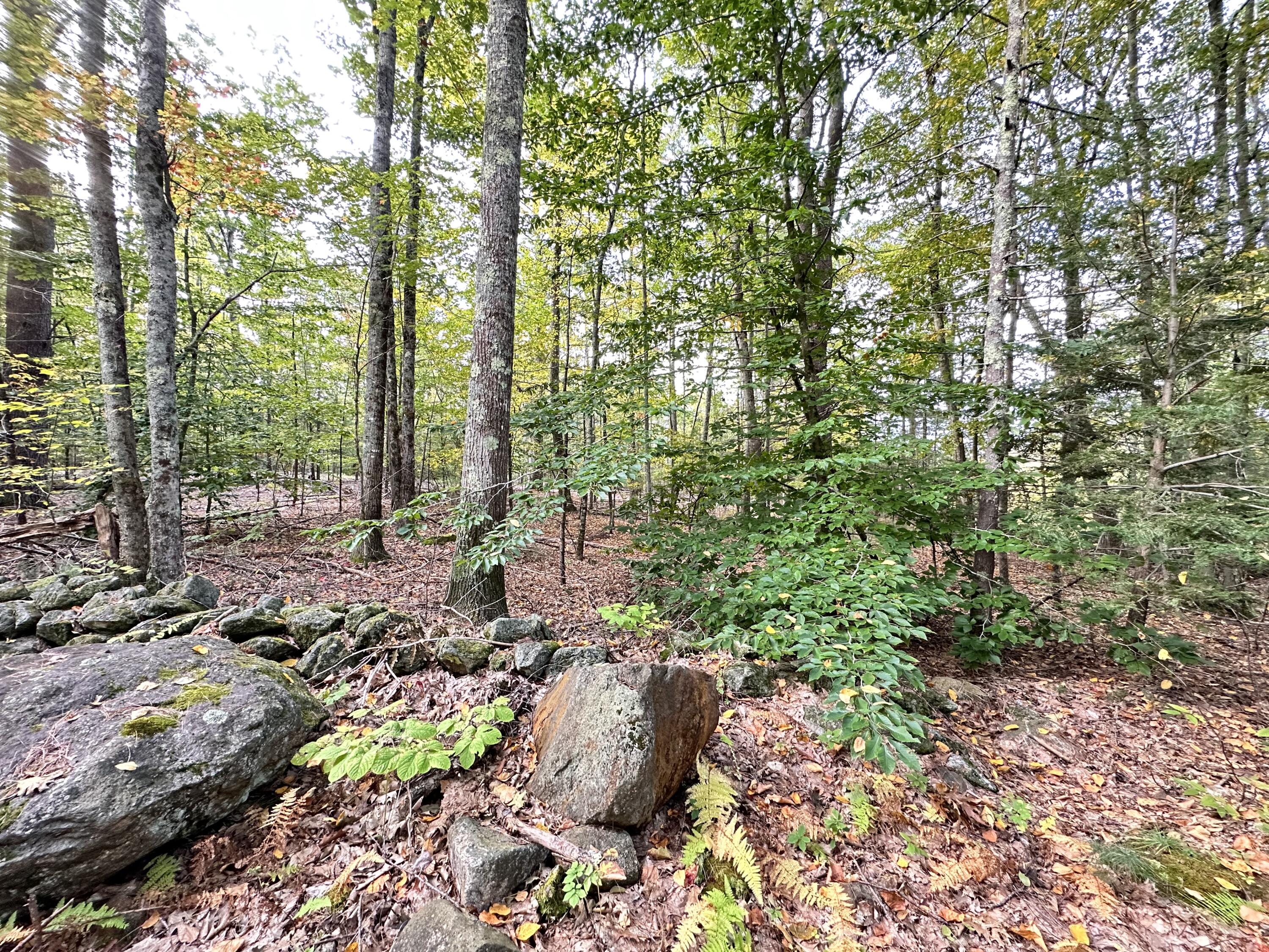 0 Orrill's Hill Road Lebanon, ME 04027 - Photo 1 of 1 IMG_3223