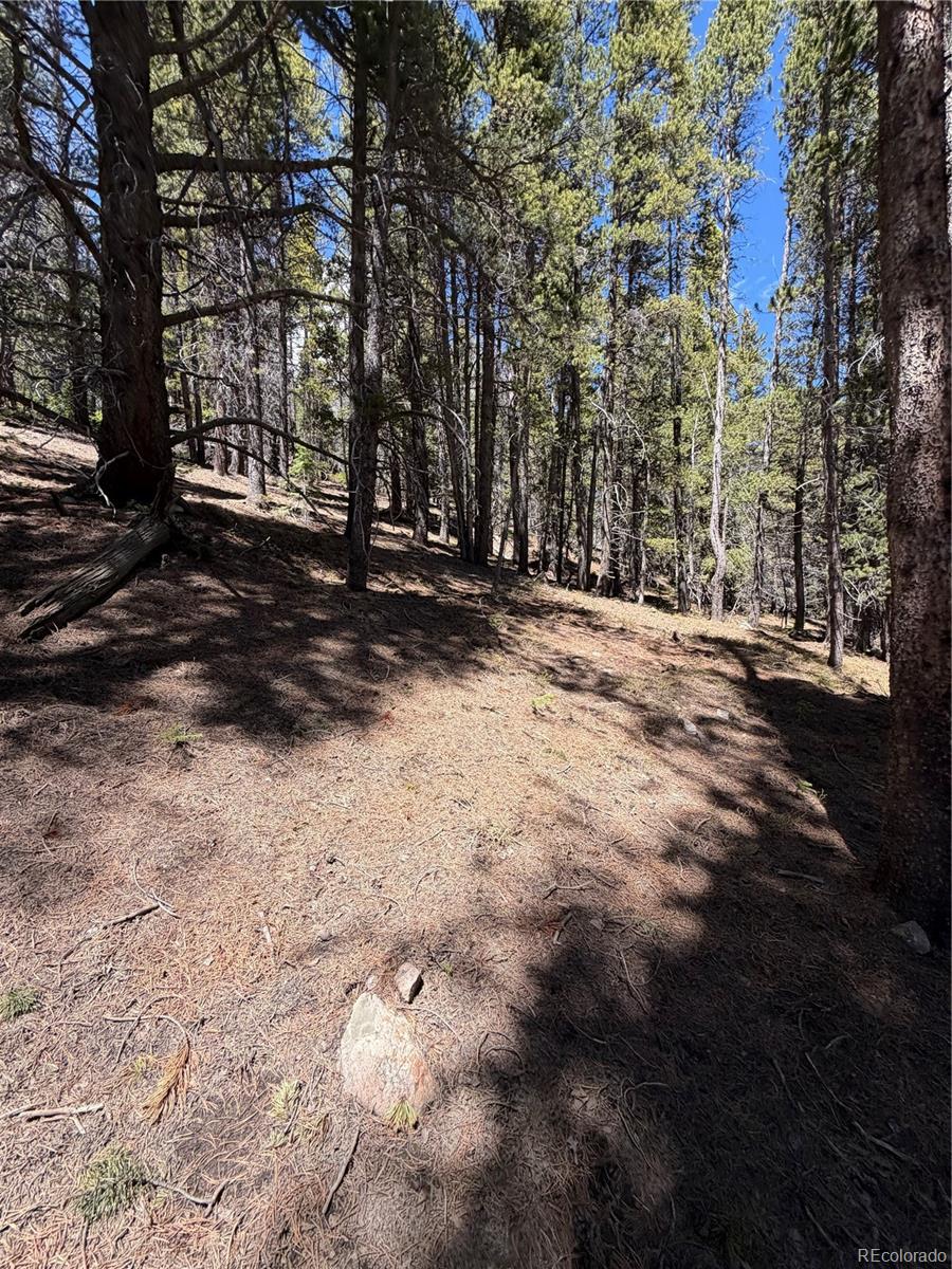 Lot 378 Alice Road Idaho Springs, CO 80452 - Photo 13 of 26 a view of road with trees