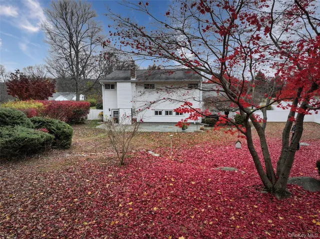 a view of a yard with large tree