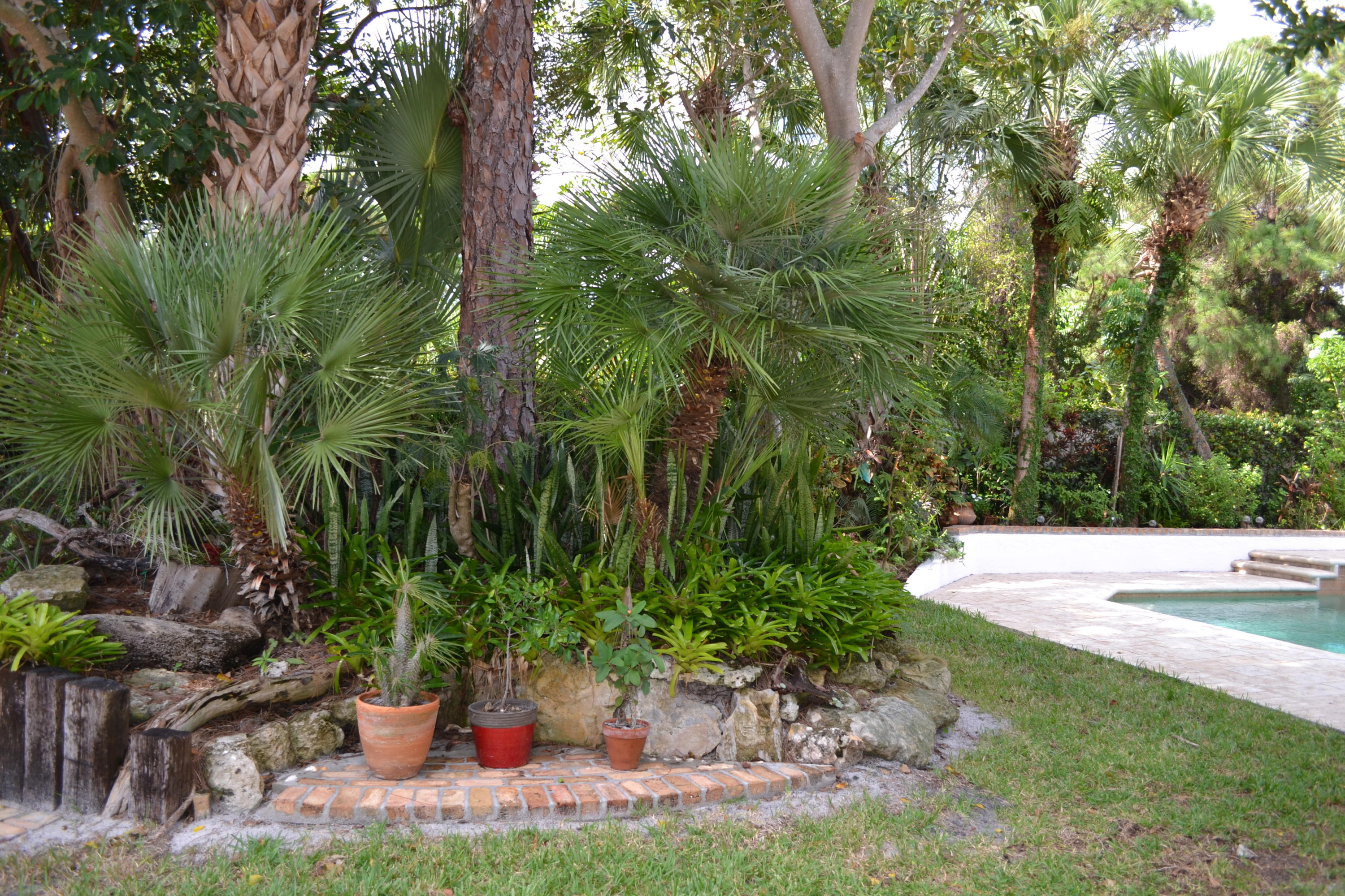 1495 Addison Avenue Boca Raton, FL 33486 - Photo 35 of 46 Lush Tropical Natural Landscaping