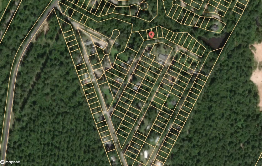 175 Lakeview Drive Shepherd, TX 77371 - Photo 4 of 4 a close up of a plant in a garden