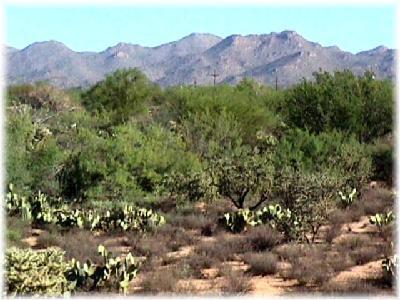 3552 West Sky Ridge Loop Tucson, AZ 85742 - Photo 2 of 8