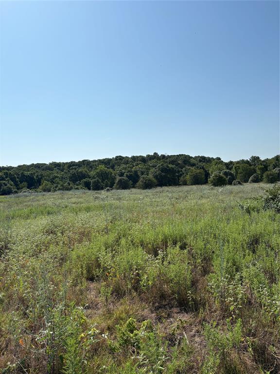 0 Gopher Road Millsap, TX 76066 - Photo 6 of 11 Expansive open field with natural vegetation, bordered by a dense tree line