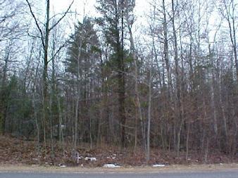 16 North Ridge Road Mears, MI 49436 - Photo 1 of 1 Primary Photo