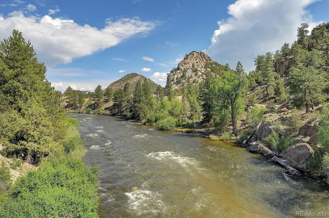 a view of a yard in front of a house