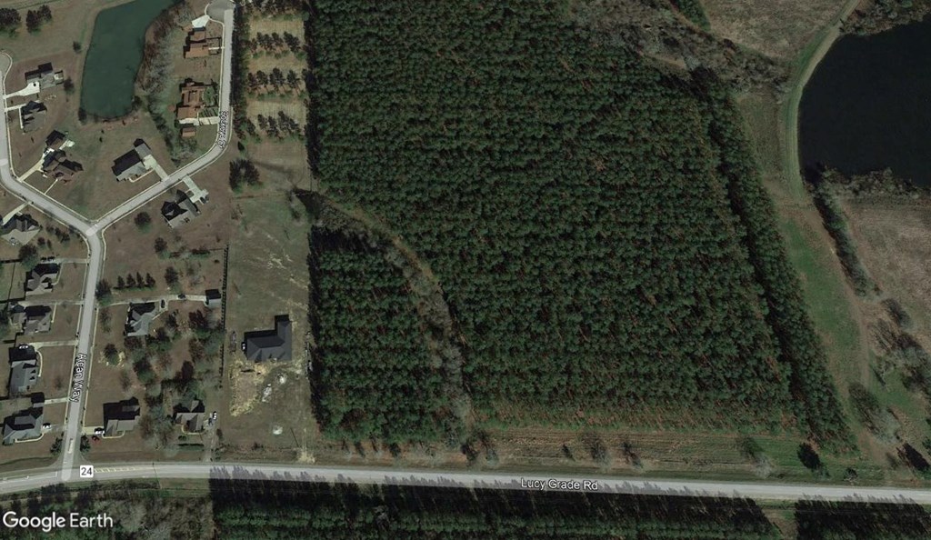509 Lucy Grade Road Dothan, AL 36301 - Photo 11 of 19