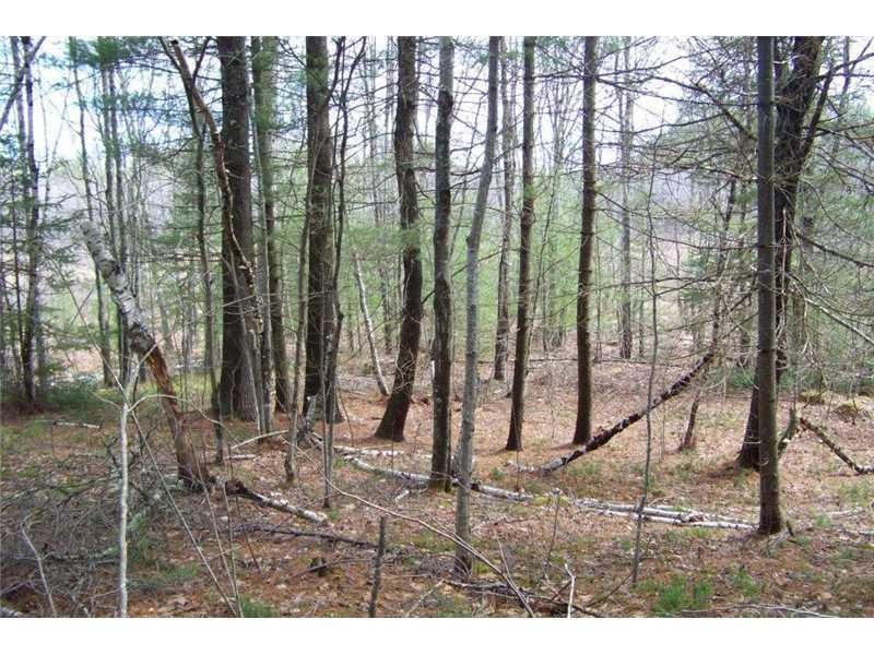 Lot 5 Lewis Hill Road West Newfield, ME 04095 - Photo 8 of 12 Land/Lot.