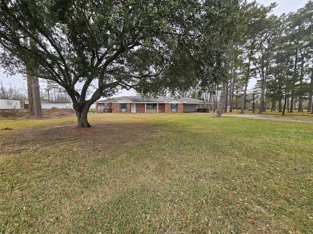 a view of an ocean with trees