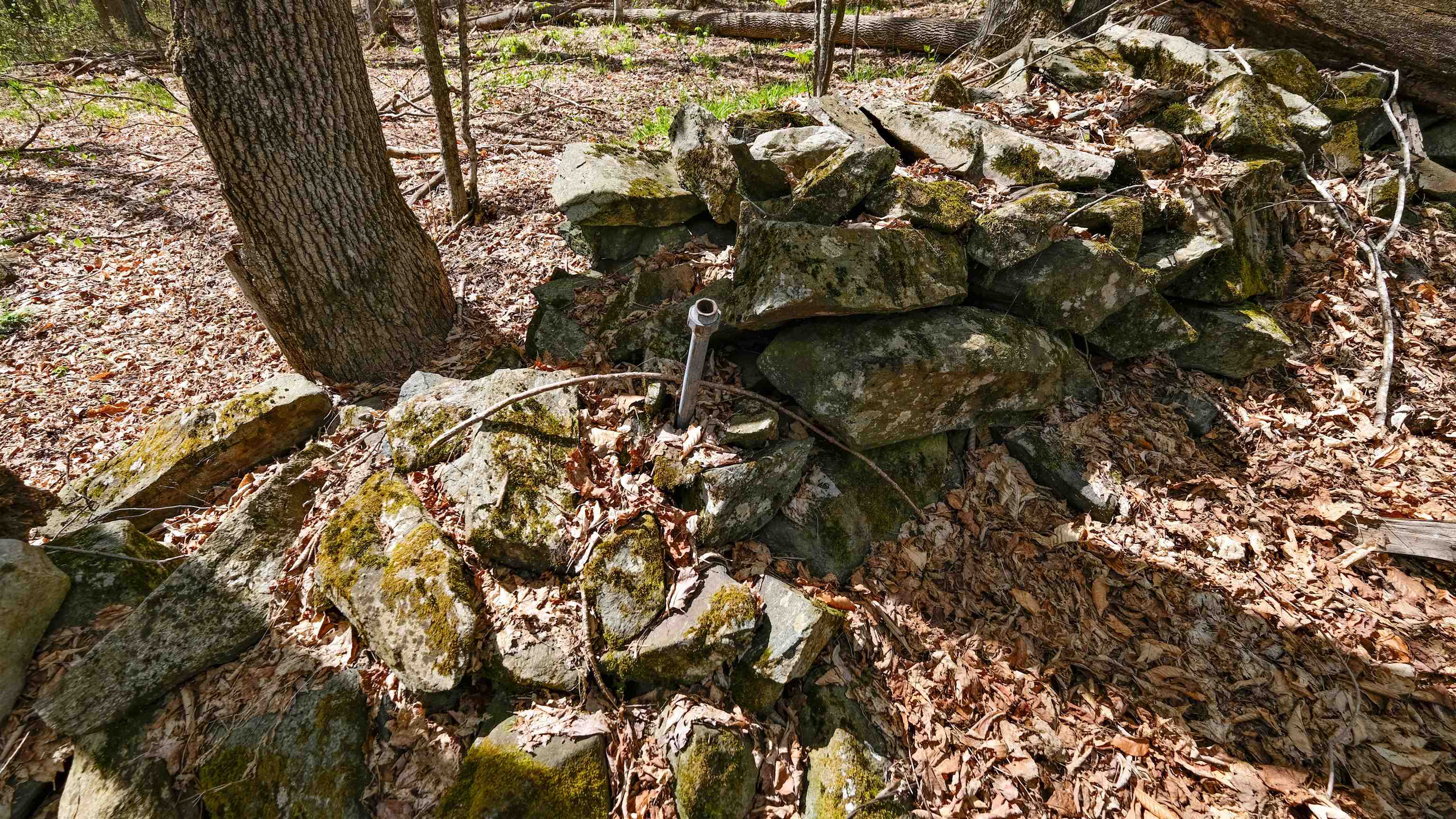 269 Hawkins Road Wallingford, VT 05742 - Photo 8 of 22 Gallery Image 8