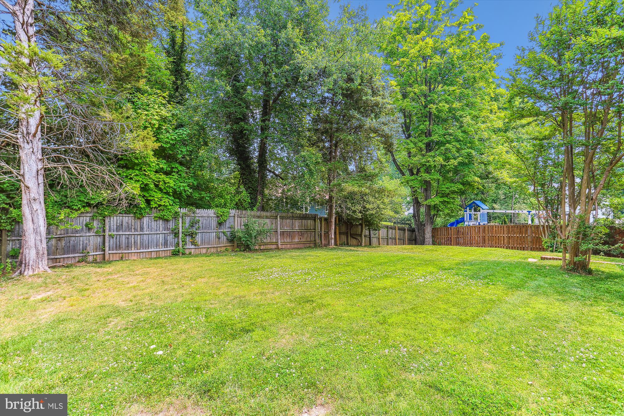 11805 Kemp Mill Road Silver Spring, MD 20902 - Photo 77 of 82 Back Yard
