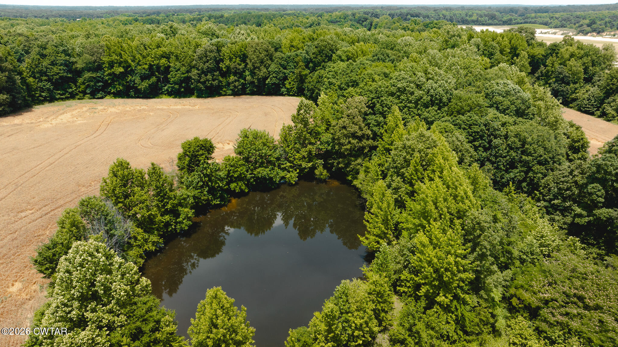 0 Will Young Road Greenfield, TN 38230 - Photo 10 of 17 DJI_20260602203859_0006_D