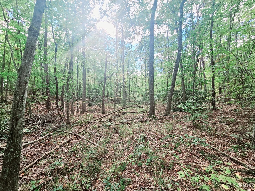 0 Venable Road Kents Store, VA 23084 - Photo 12 of 17