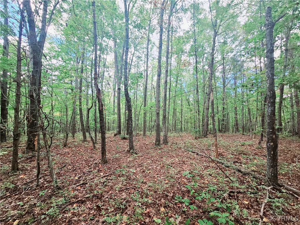 0 Venable Road Kents Store, VA 23084 - Photo 14 of 17