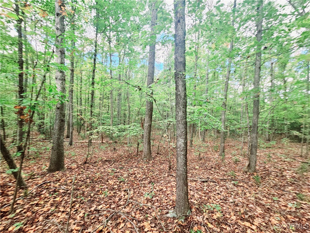 0 Venable Road Kents Store, VA 23084 - Photo 15 of 17