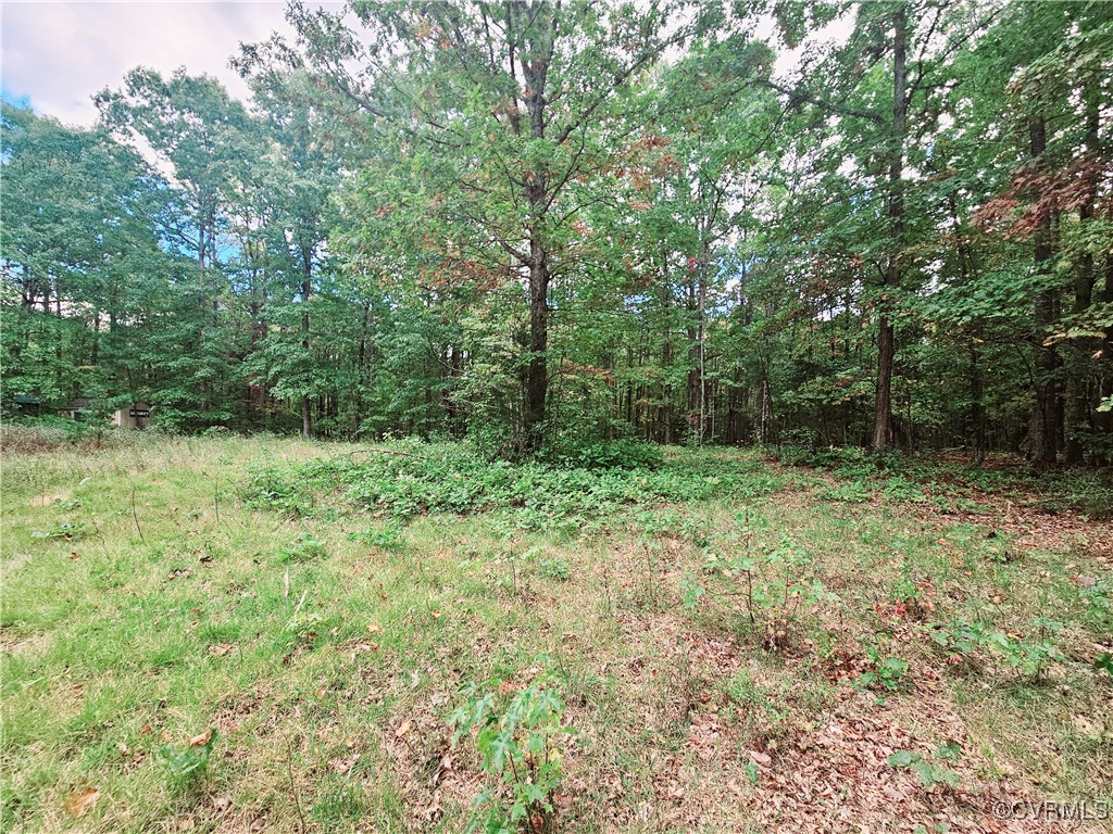 0 Venable Road Kents Store, VA 23084 - Photo 16 of 17