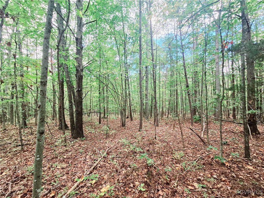 0 Venable Road Kents Store, VA 23084 - Photo 17 of 17