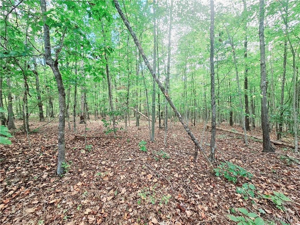 0 Venable Road Kents Store, VA 23084 - Photo 2 of 17