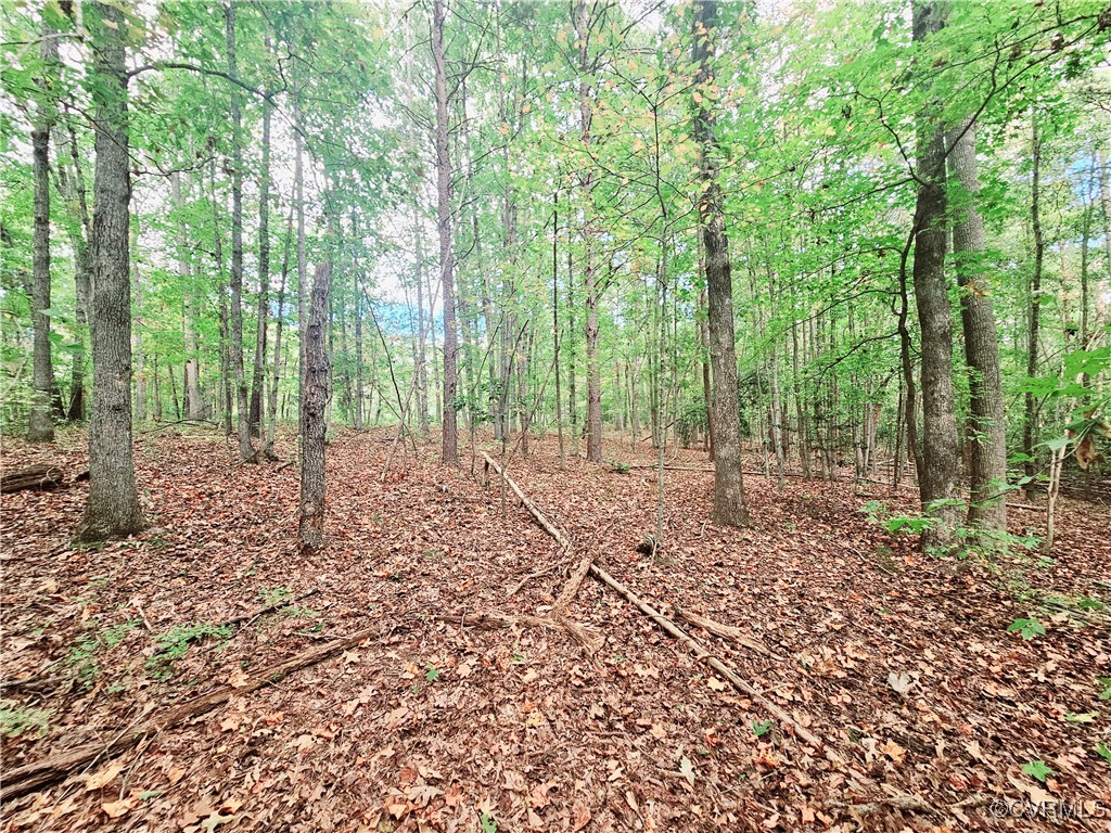 0 Venable Road Kents Store, VA 23084 - Photo 3 of 17