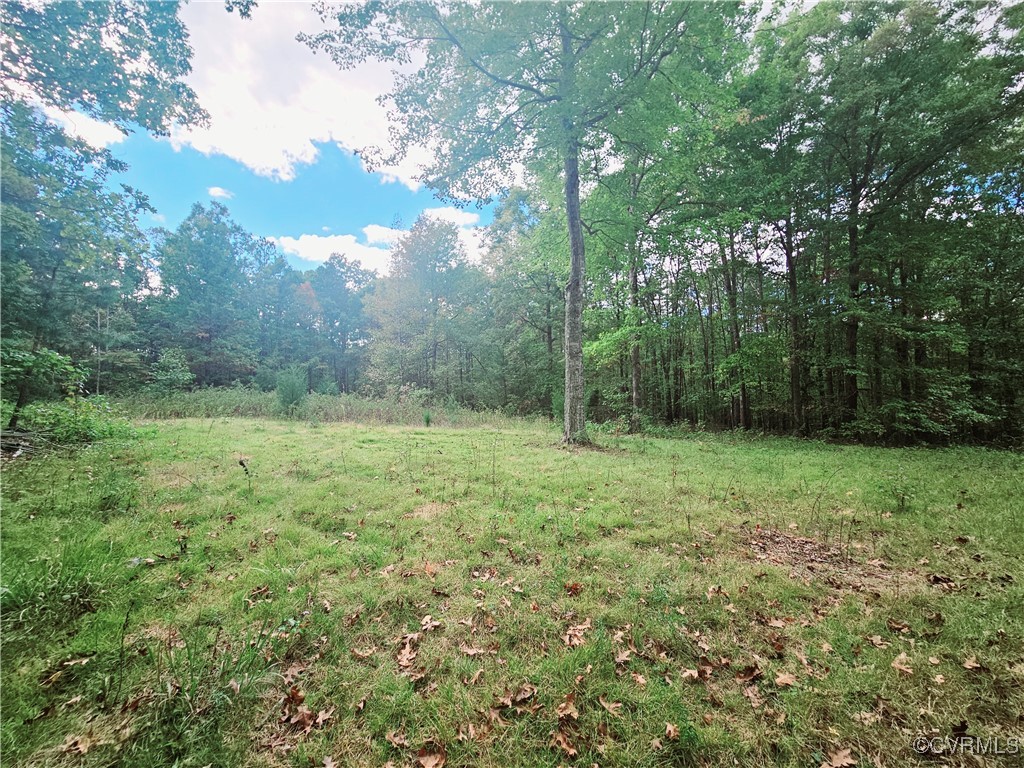 0 Venable Road Kents Store, VA 23084 - Photo 4 of 17