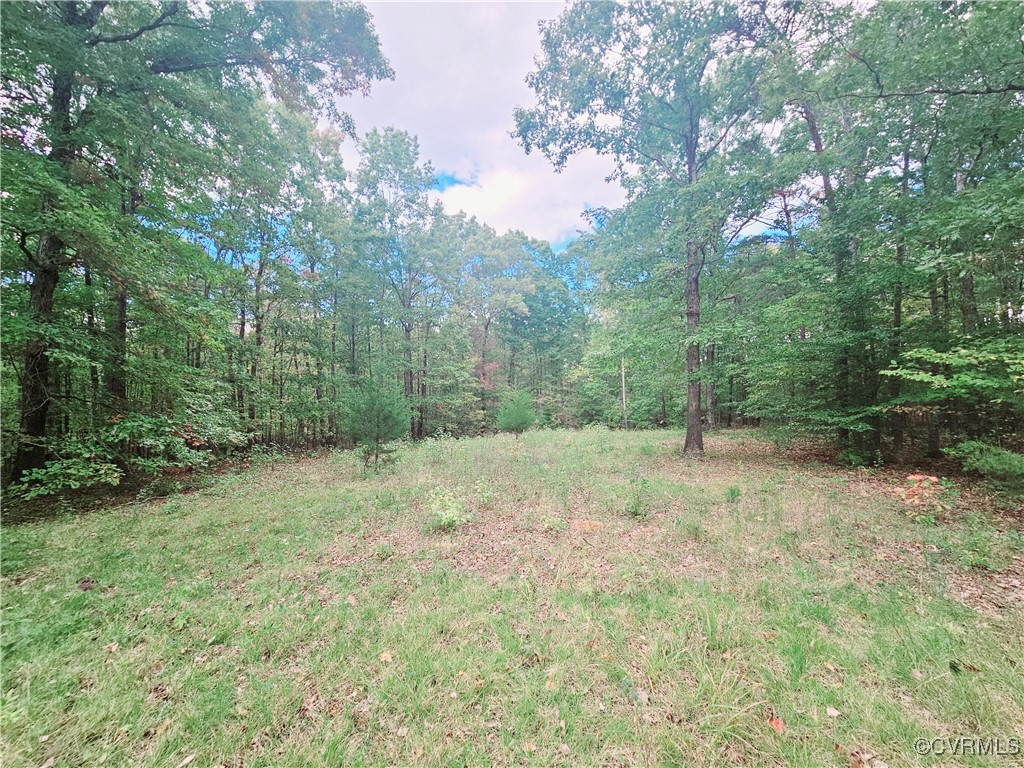 0 Venable Road Kents Store, VA 23084 - Photo 6 of 17