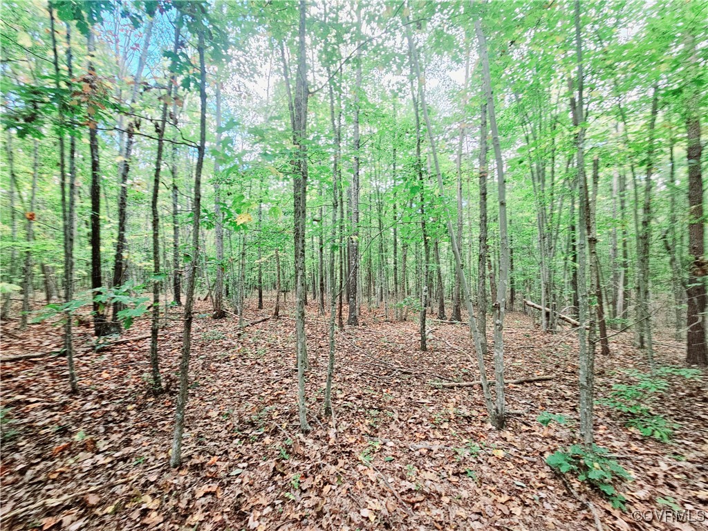 0 Venable Road Kents Store, VA 23084 - Photo 7 of 17