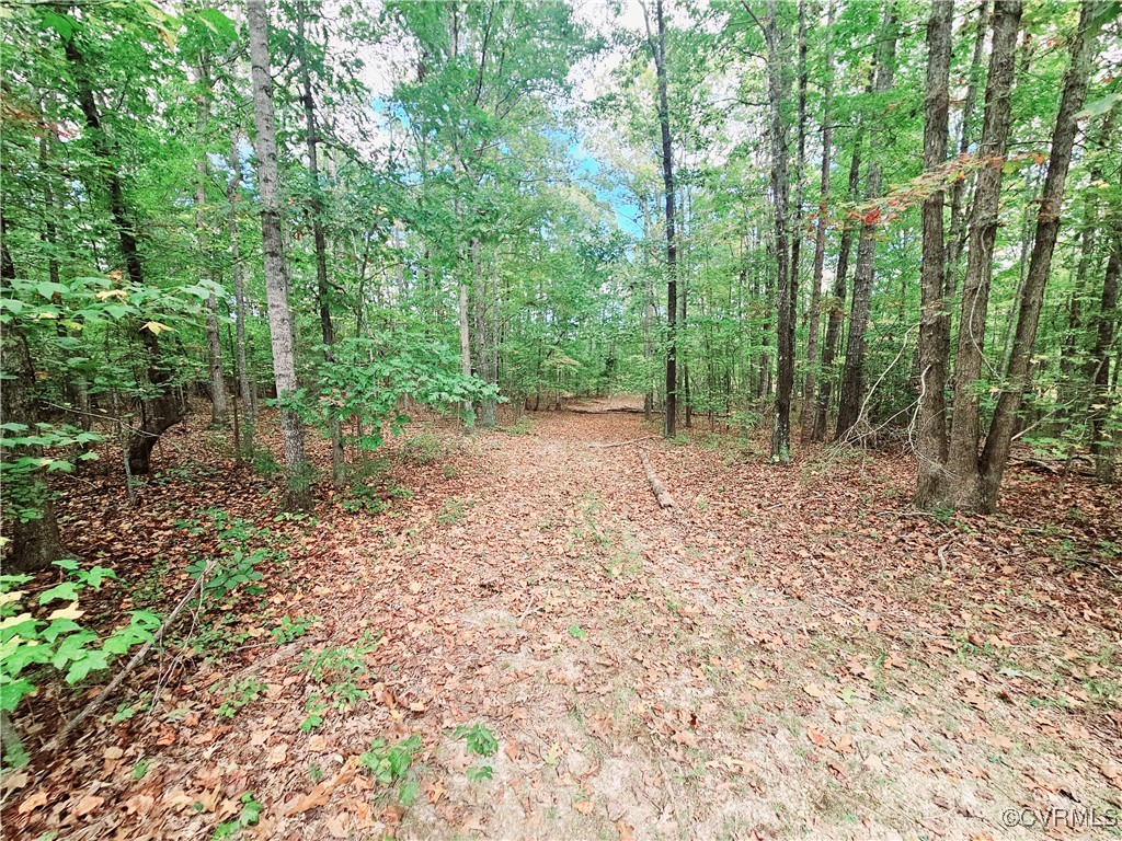 0 Venable Road Kents Store, VA 23084 - Photo 8 of 17