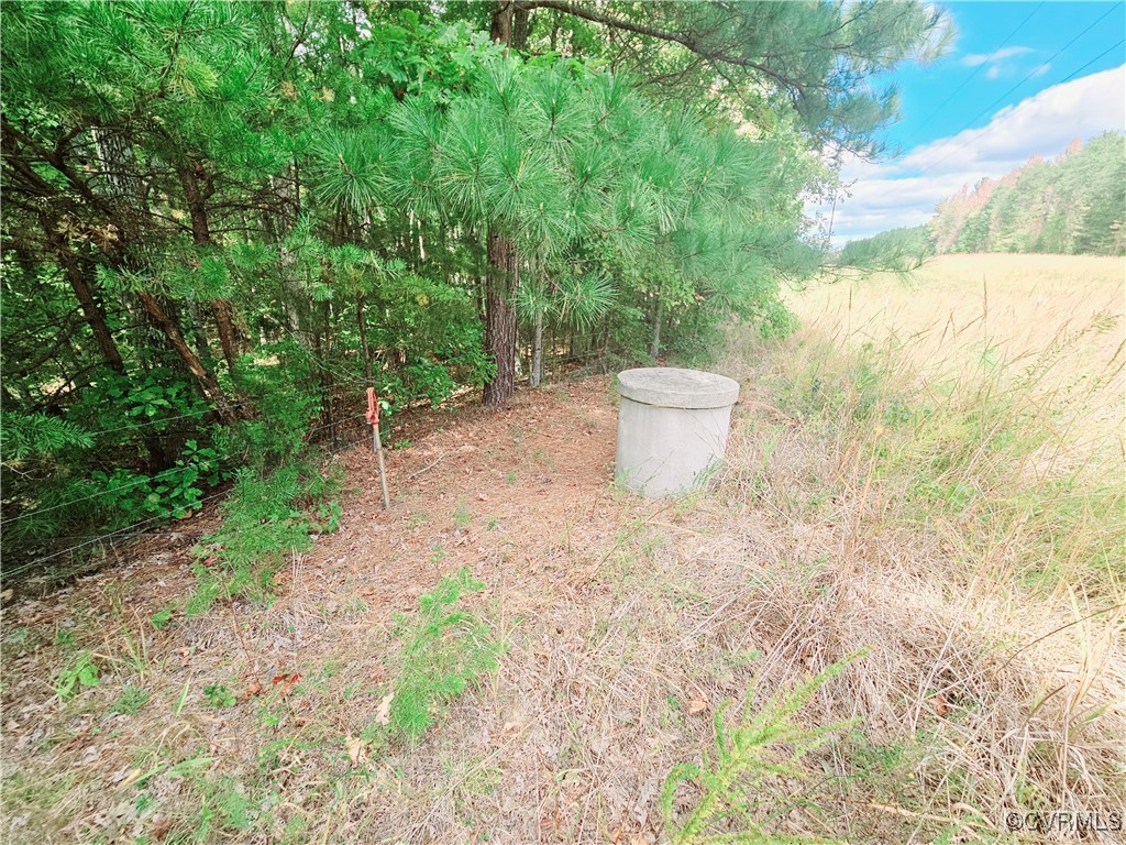 0 Venable Road Kents Store, VA 23084 - Photo 10 of 17