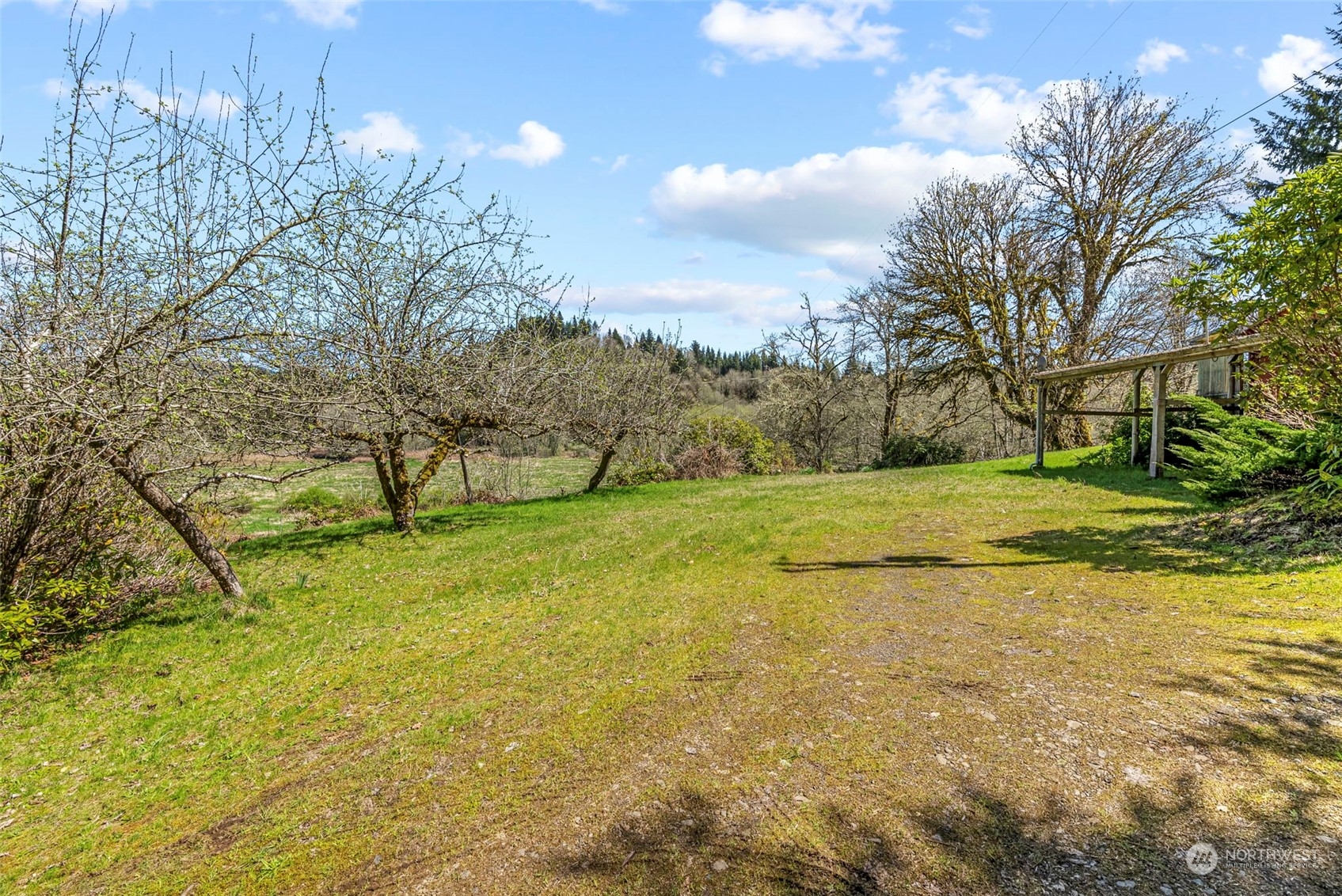 273 Middle Valley Road Skamokawa, WA 98647 - Photo 12 of 30 a view of an outdoor space and a yard