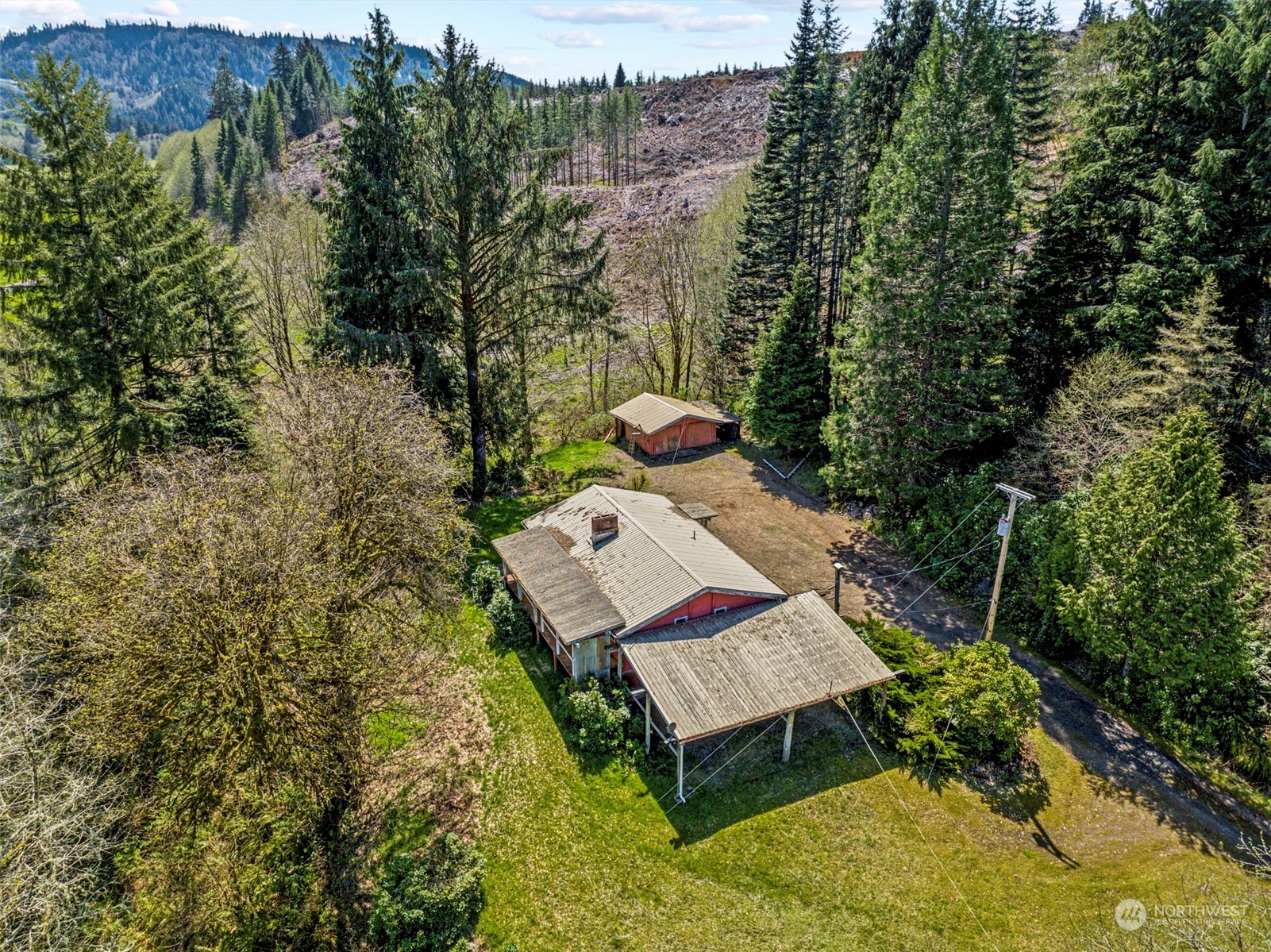 273 Middle Valley Road Skamokawa, WA 98647 - Photo 9 of 30 a view of a yard with plants
