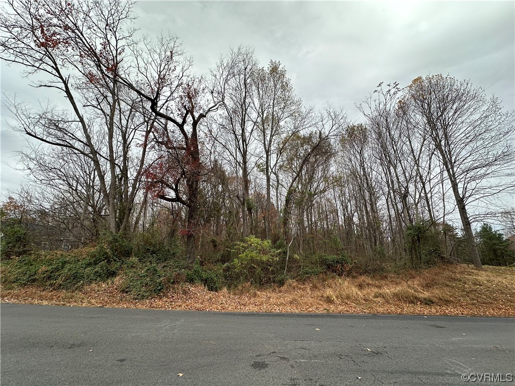 Lot 24 Days Bridge Road Orange, VA 22960 - Photo 8 of 9 Gallery Image 8