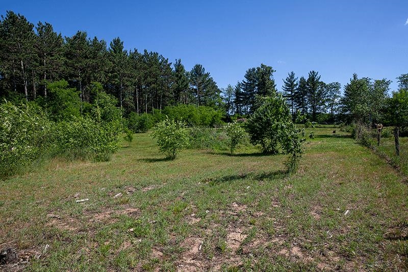 311 Highway 21 Friendship, WI 53934 - Photo 38 of 65