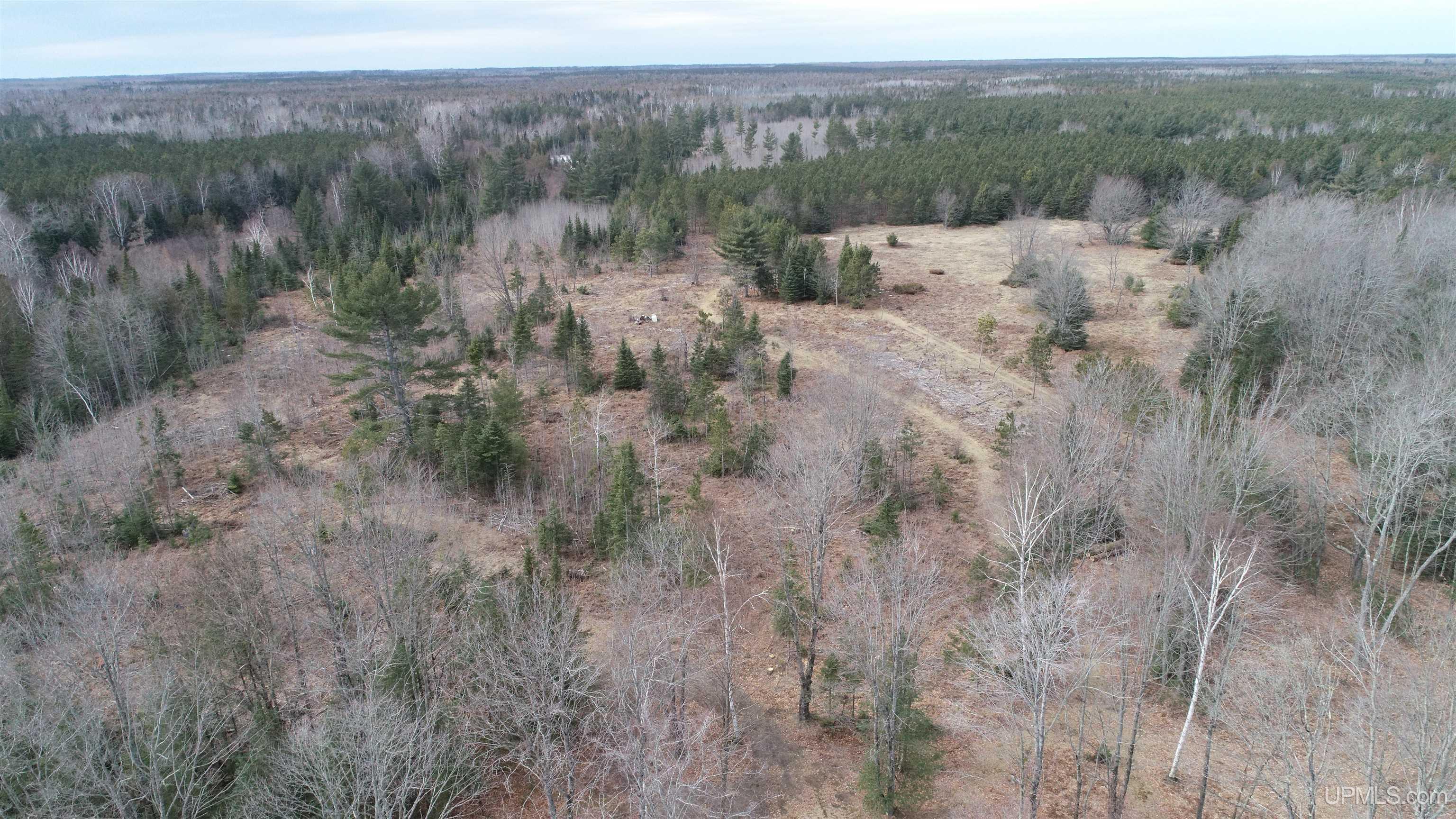 2467 Little Harbor Road Manistique, MI 49854 - Photo 55 of 68 Gallery Image 55