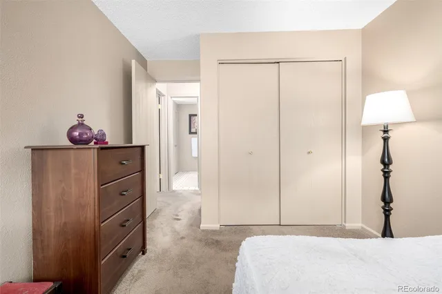 a bedroom with a bed and a closet