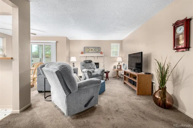 a living room with furniture a flat screen tv and a fireplace