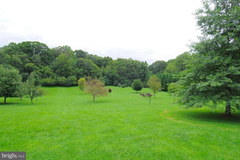 4875 Ten Oaks Road Dayton, MD 21036 - Photo 2 of 20 Back yard