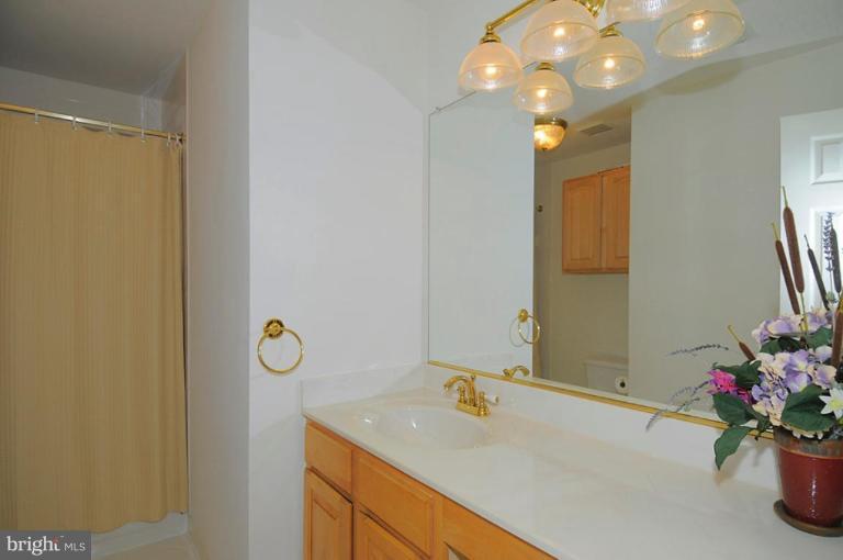 4875 Ten Oaks Road Dayton, MD 21036 - Photo 12 of 20 Bath #2