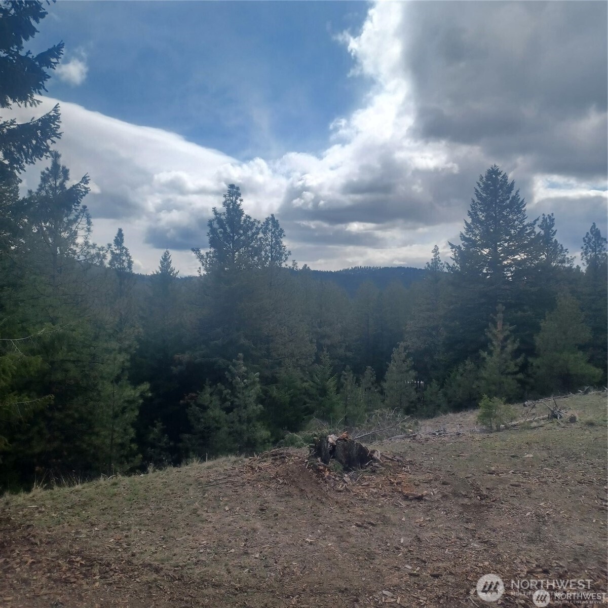 100 Turner Lake Road North Tonasket, WA 98855 - Photo 27 of 39 a view of a yard