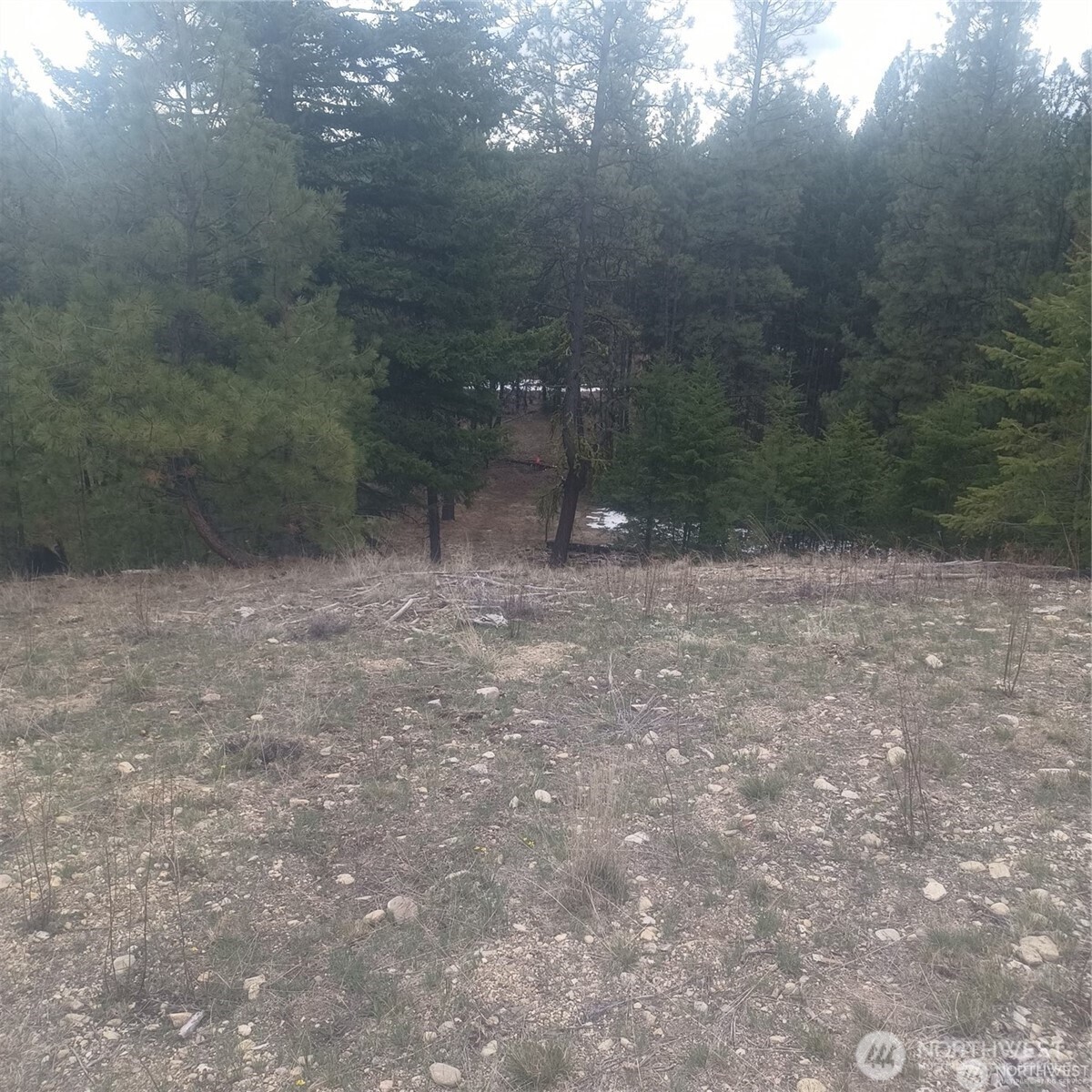 100 Turner Lake Road North Tonasket, WA 98855 - Photo 29 of 39 a view of outdoor space and yard