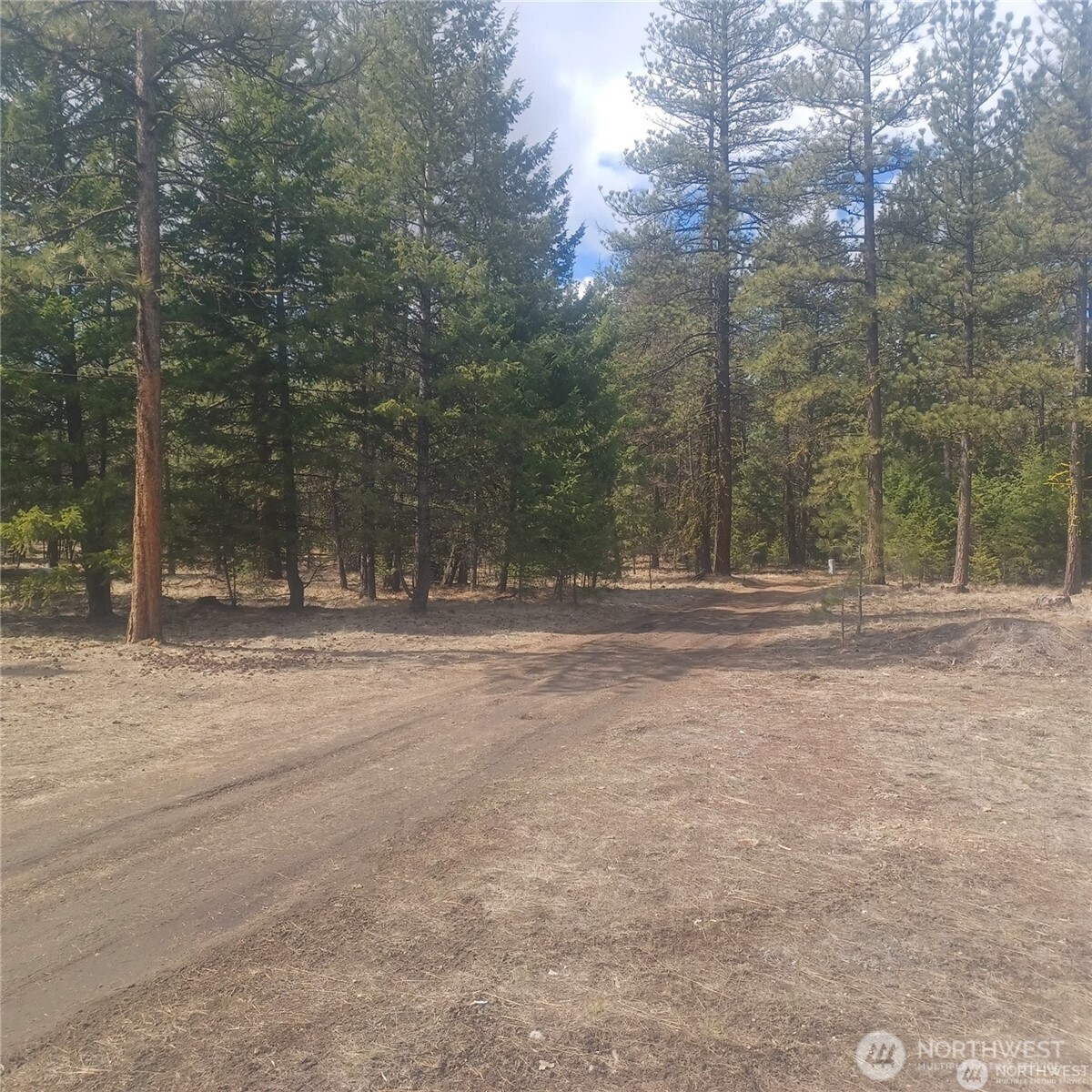 100 Turner Lake Road North Tonasket, WA 98855 - Photo 31 of 39 a view of outdoor space with trees